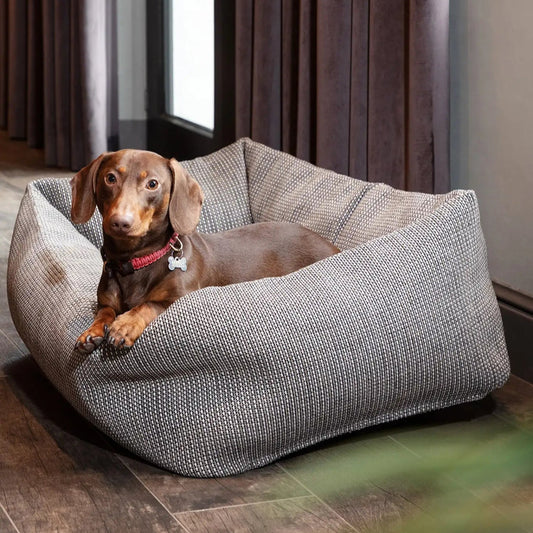 ROOLF DOTTY Dog Bed - Schweizer Wohnkonzept