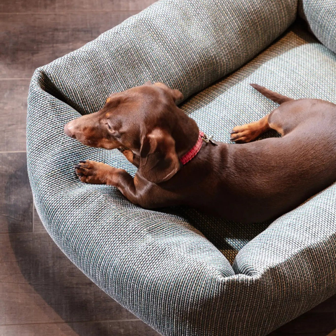 ROOLF DOTTY Dog Bed - Schweizer Wohnkonzept